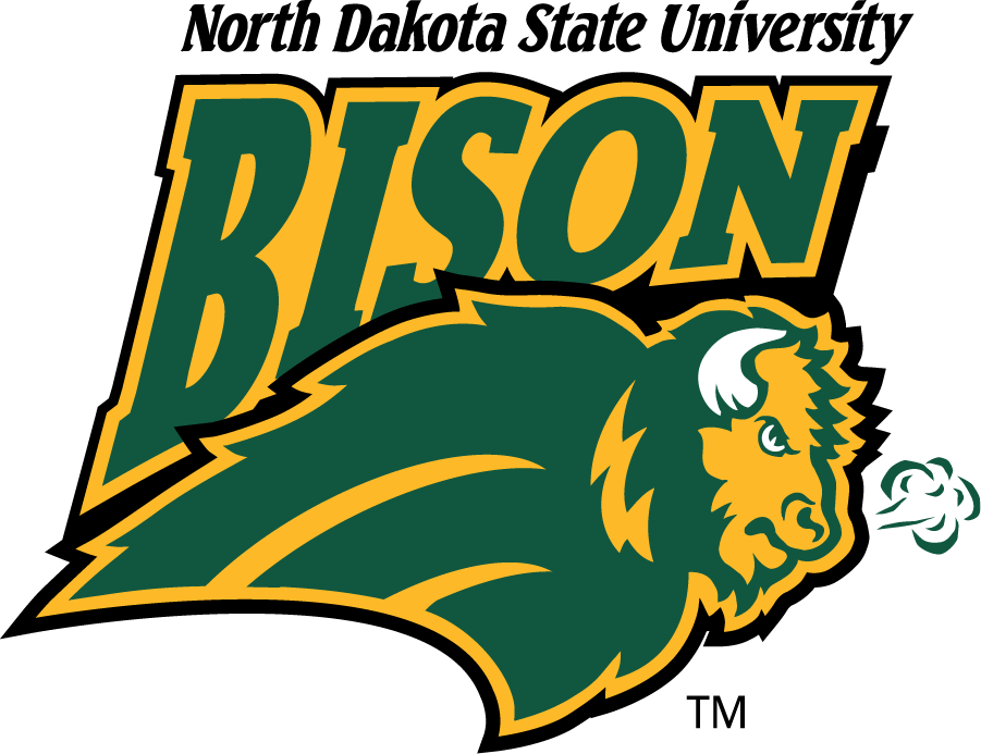 North Dakota State Bison 1999-2012 Alternate Logo DIY iron on transfer (heat transfer)